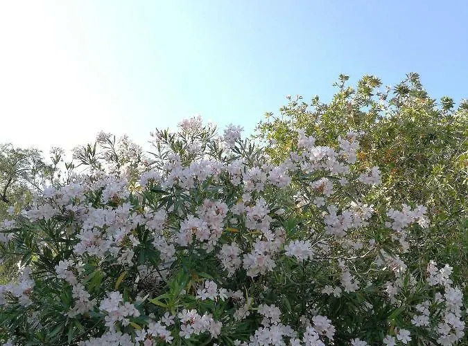 アパート Blue White House *